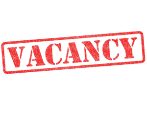 Read more about the article Vacancy Announcement: Youth Engagement Officer