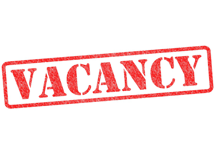 Vacancy Announcement: Procurement & Logistics Officer