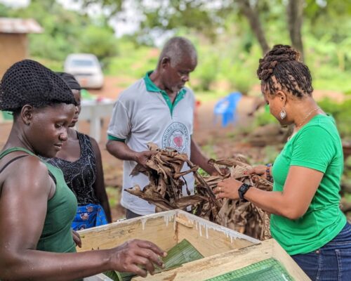 Teaching Others To “Fish”-Diversifying Income Streams